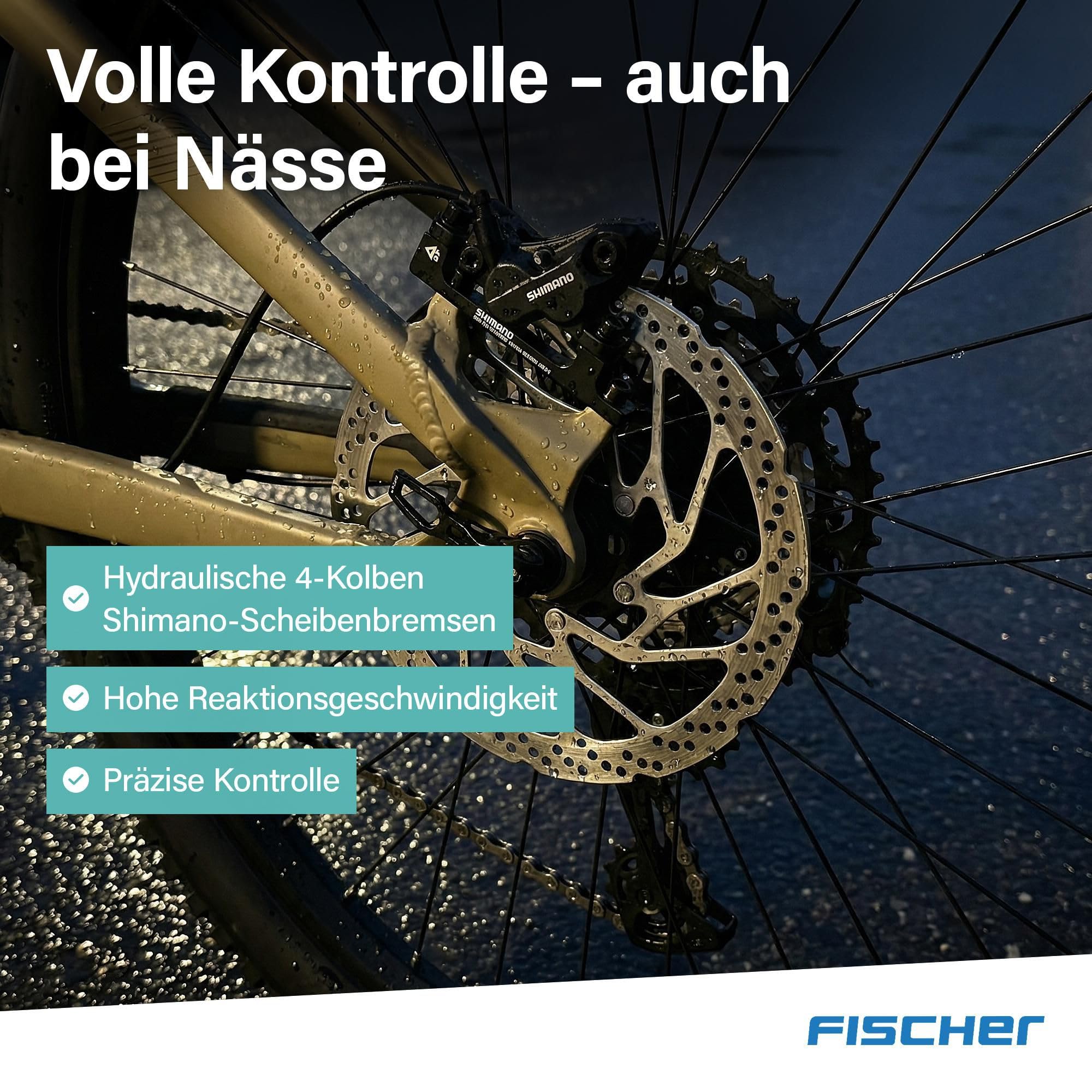 Fischer E-Bike MTB Montis 10.0i Ultimate Elektrofahrrad für Damen und Herren, RH 46, Mittelmotor 90 Nm, 36 V Akku
