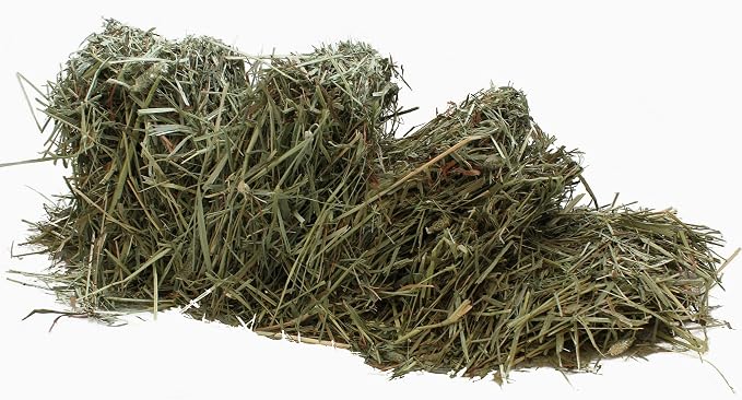 Sunsations Natural Timothy Hay 793G (28 Oz) miniatura 3