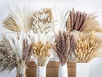 Vista 9 de 70 UNIDADES Hierba de Pampa Seca Natural Estilo Boho para Decoración del Hogar Ramo de Phragmites Flores Secas para Arreglos Florales de Boda