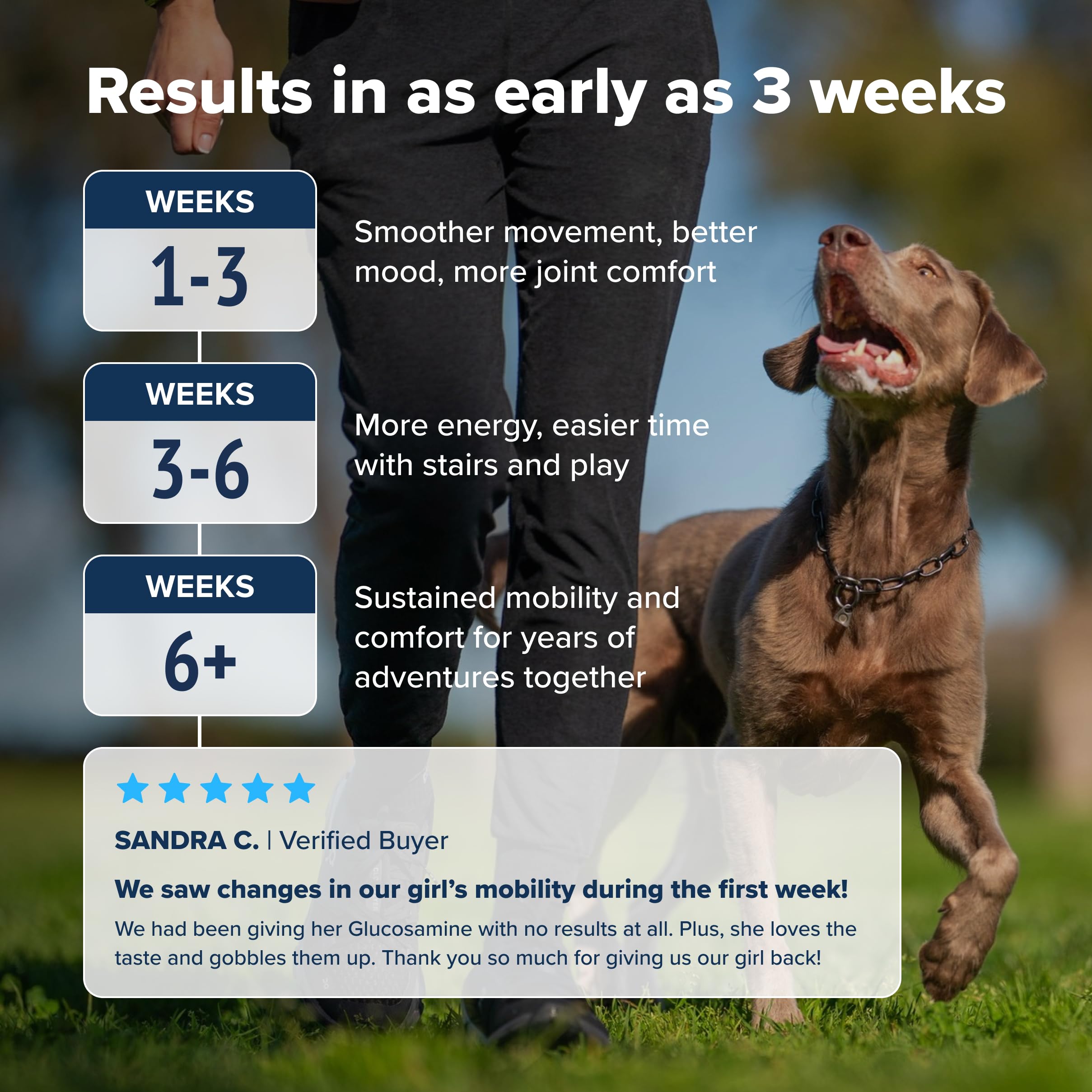 PupFlex+ Hip and Joint Supplement Dogs, Vet Created Soft Chews w/UC-II&reg; Collagen, CurcuVET&reg; & Omega 3 - UC-II Collagen More Effective Than Glucosamine Chondroitin, Dog Joint Supplement (60 ct) - image 3
