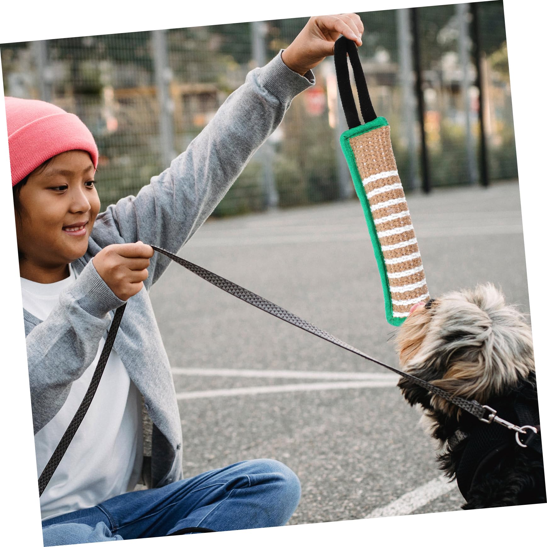 BESPORTBLE 5 Uds Juguetes para Tirar Perros Juguetes Interactivos para Mascotas Juguetes Interactivos para Perros Juguetes para De Raza Almohada De Juguete para Grandes