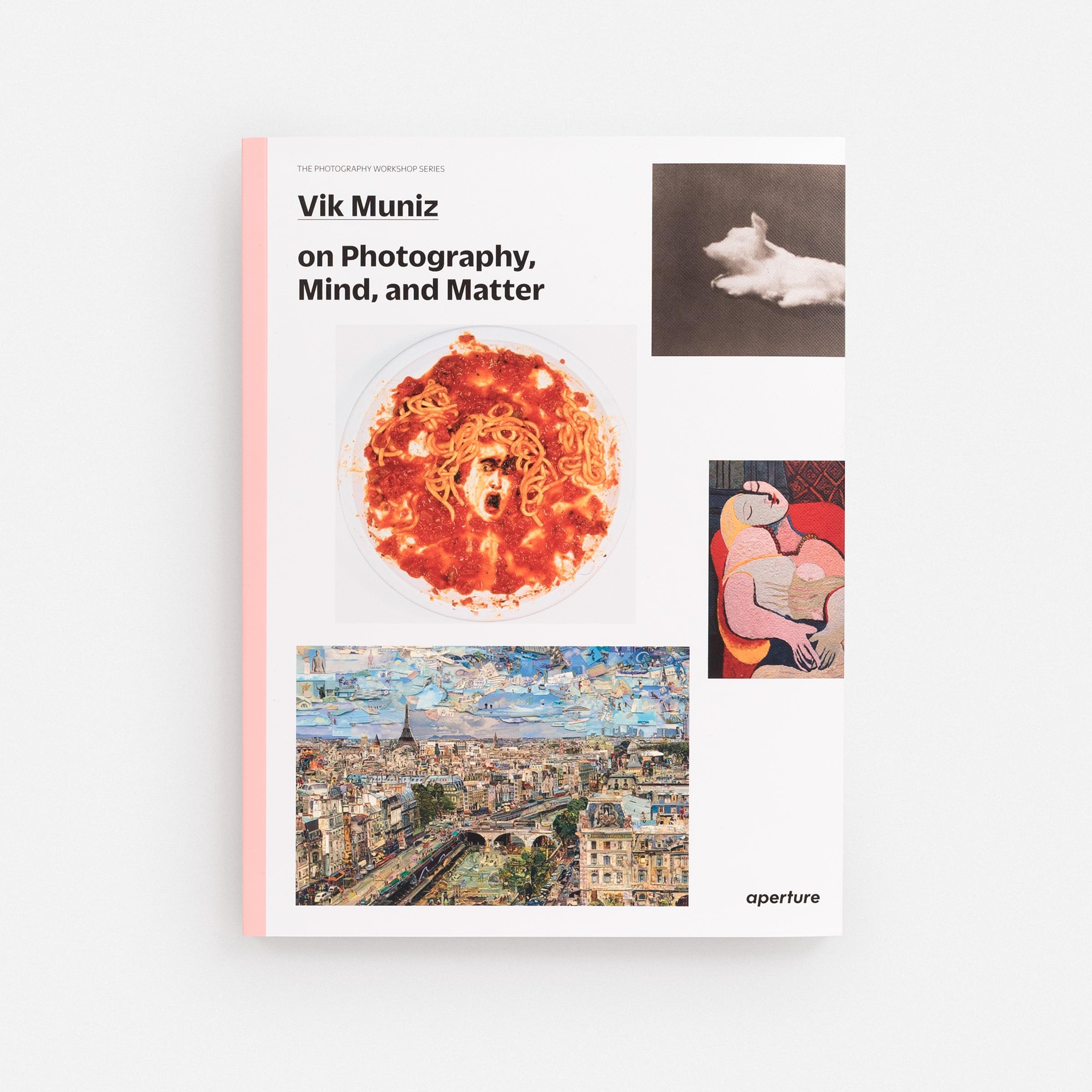 Vik Muniz The Photography Workshop Series /anglais: on photography, mind, and matter