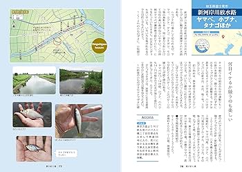 令和版 困った時はココ! 東京近郊キラキラ釣り場案内60タナゴ
