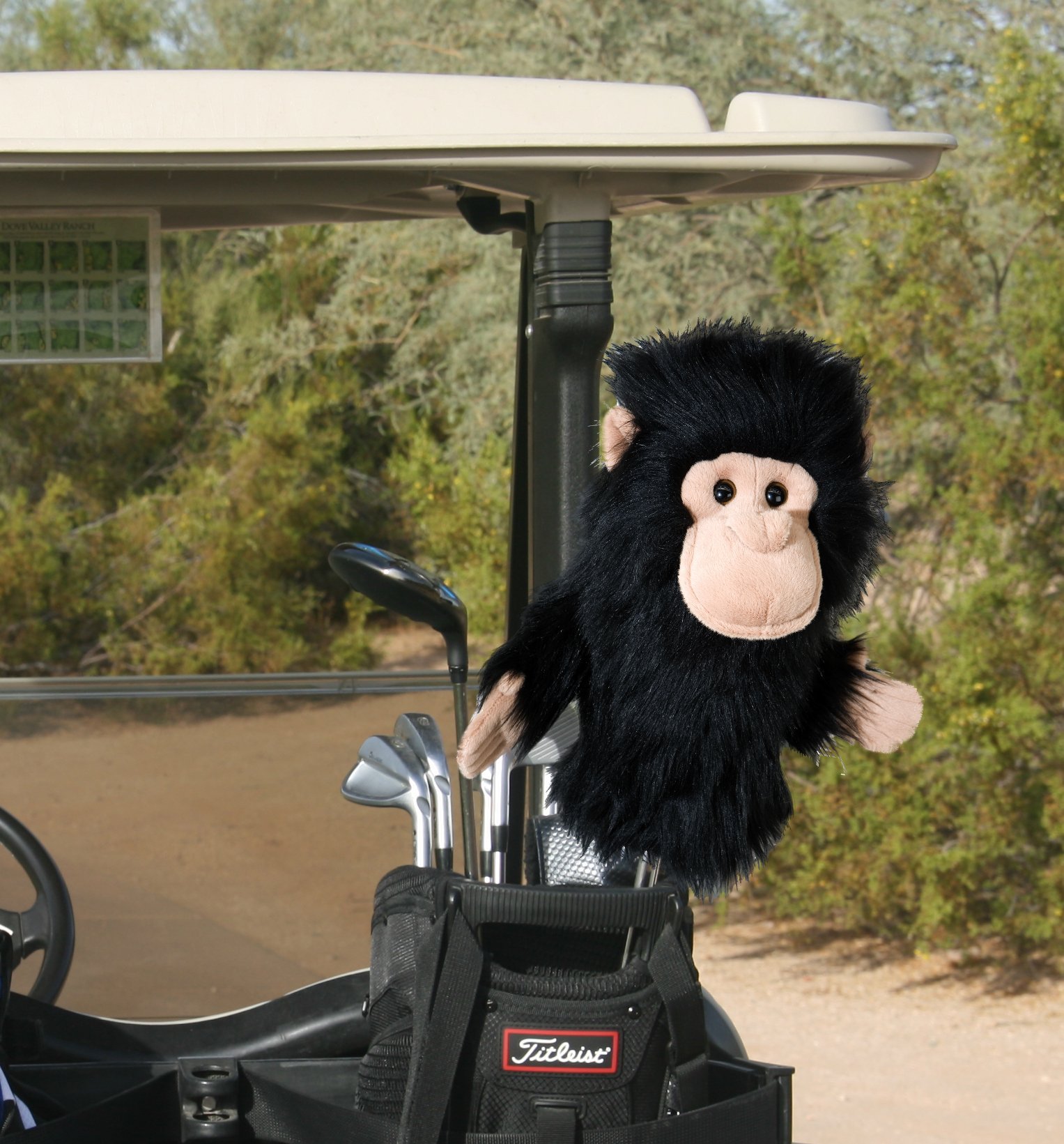 DAPHNES チンパンジー 人気