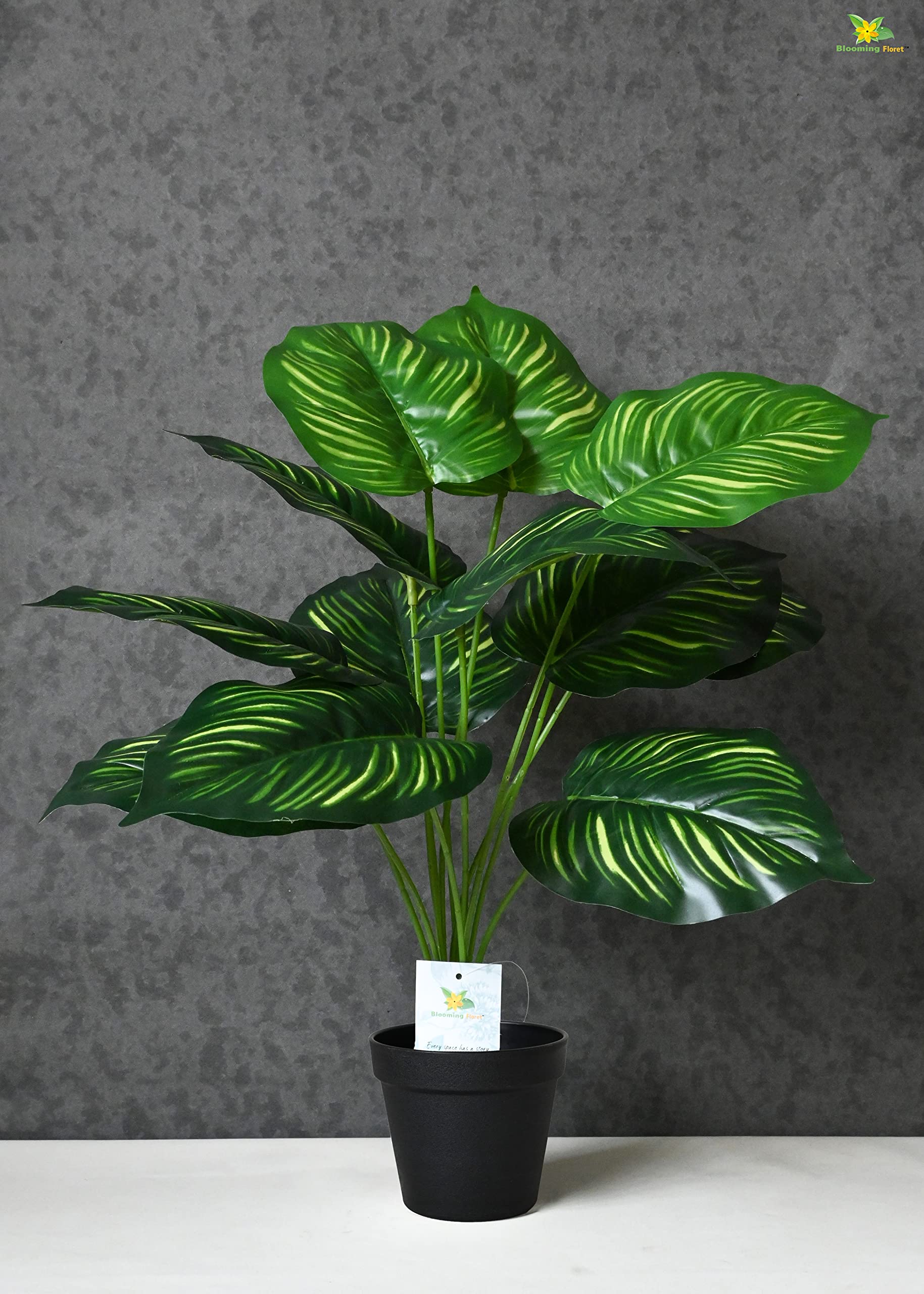 Polyester Artificial Plant Calathea Orbifolia Plant For Home Decor/Office Decor/Gifting|65 Cm Short Ornamental Plant With Basic Black Pot|12 Leaves|Natural Looking Indoor Plant