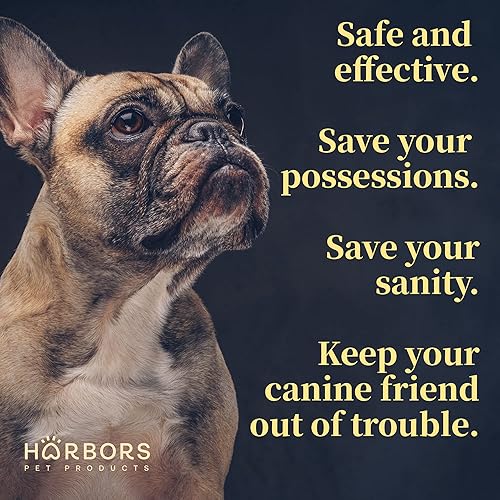 Miniatura 5 de Harbor's Stay Away Spray | Entrena a tu mascota donde no orinar | Corrector de entrenamiento para cachorros y perros | para uso en interiores y