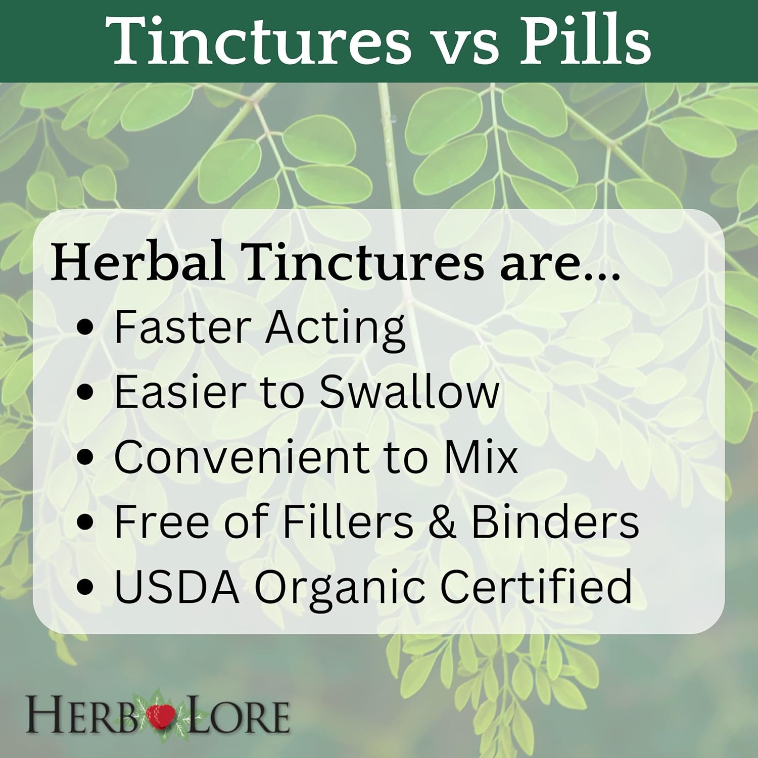 Herb Lore Organic Moringa Tincture – Liquid Moringa Breastfeeding Supplement Drops for Lactation & Breast Milk Support (4 fl oz) - Image 3
