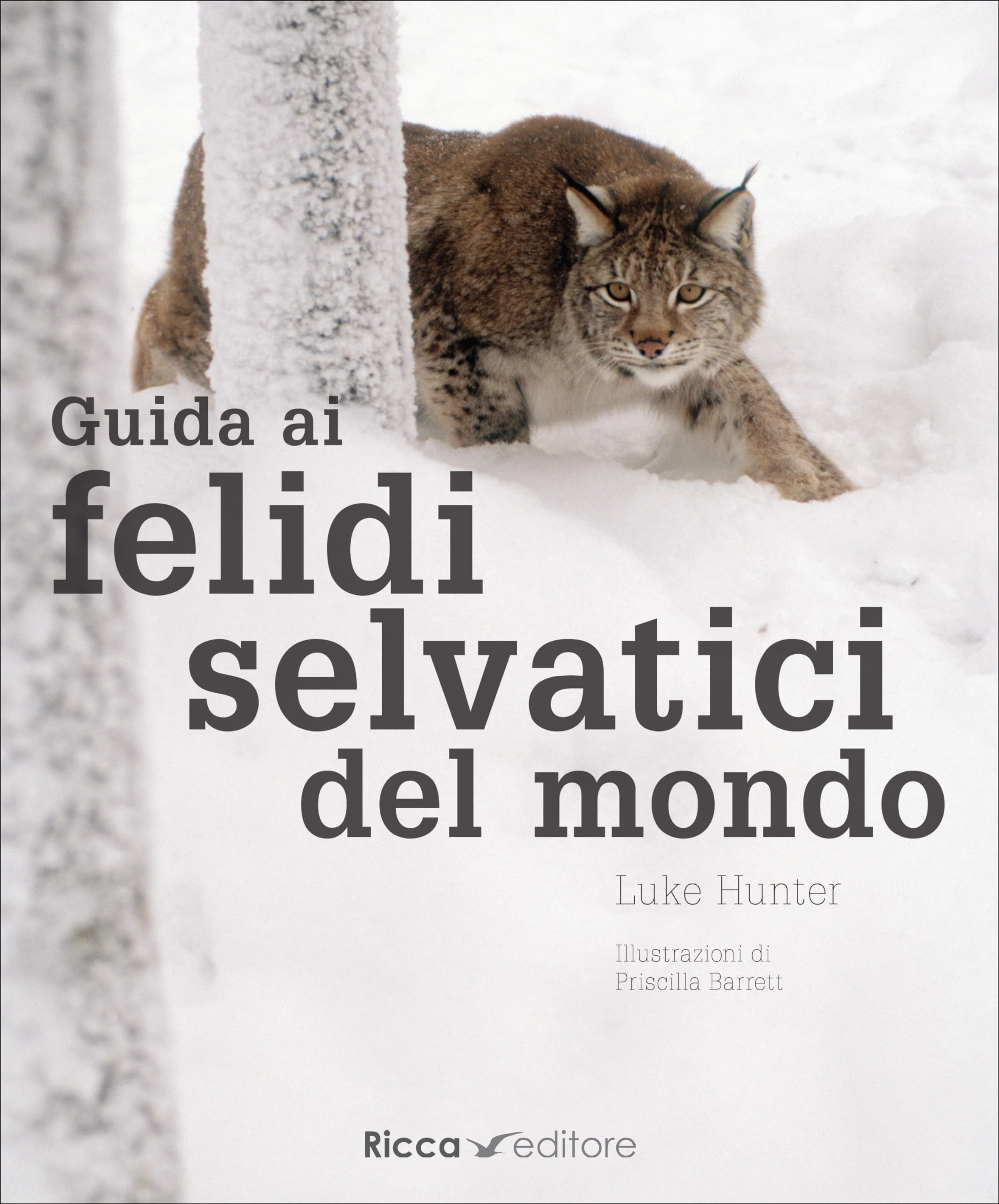 Guida ai felidi selvatici del mondo