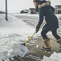 Vista 3 de El empujador de nieve original (24 pulgadas)