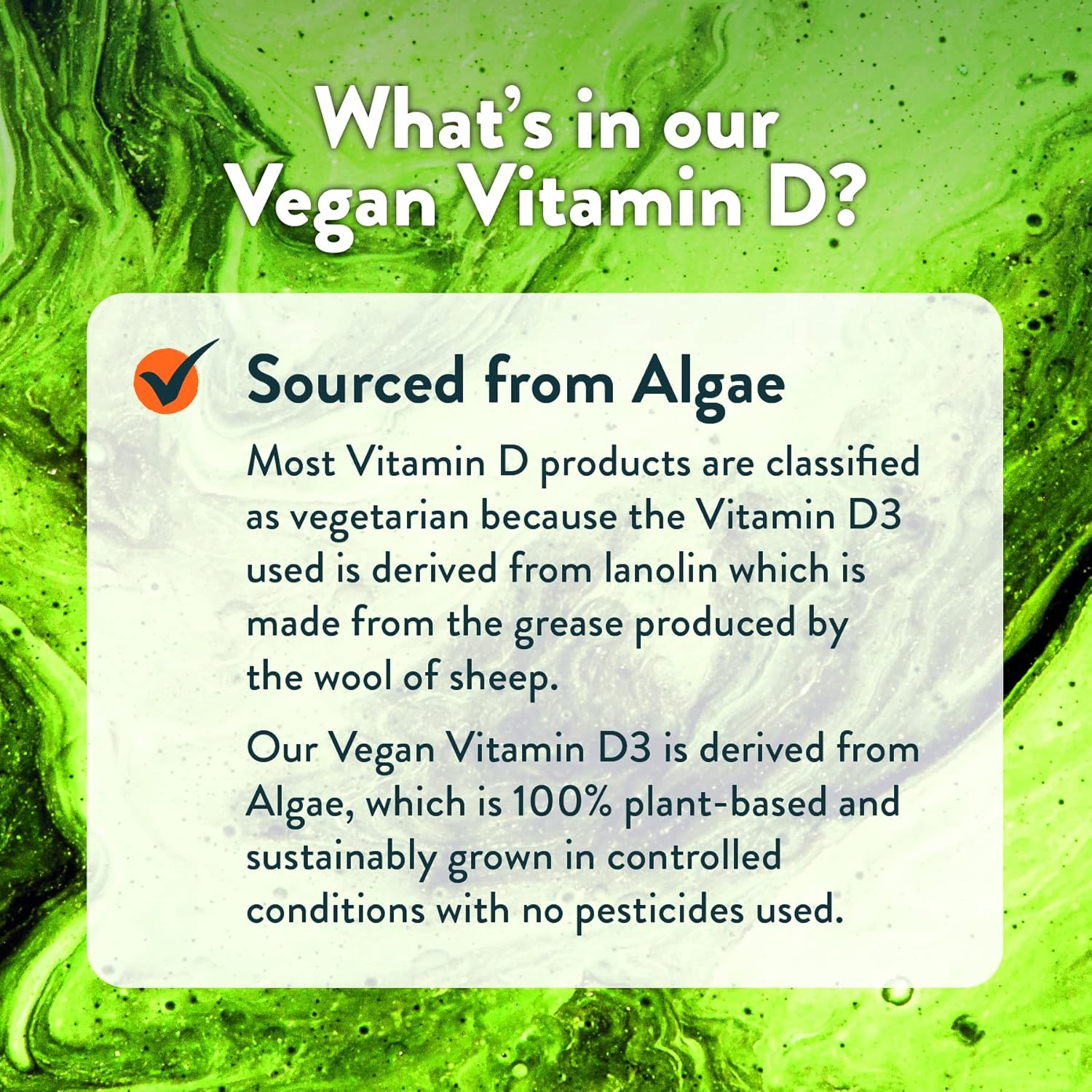 Vegan Vitamin D 1000iu Tablets, 180 Easy-Swallow Plant-Based Algae Vitamin D Tablets, 6 Month Supply - Image 3