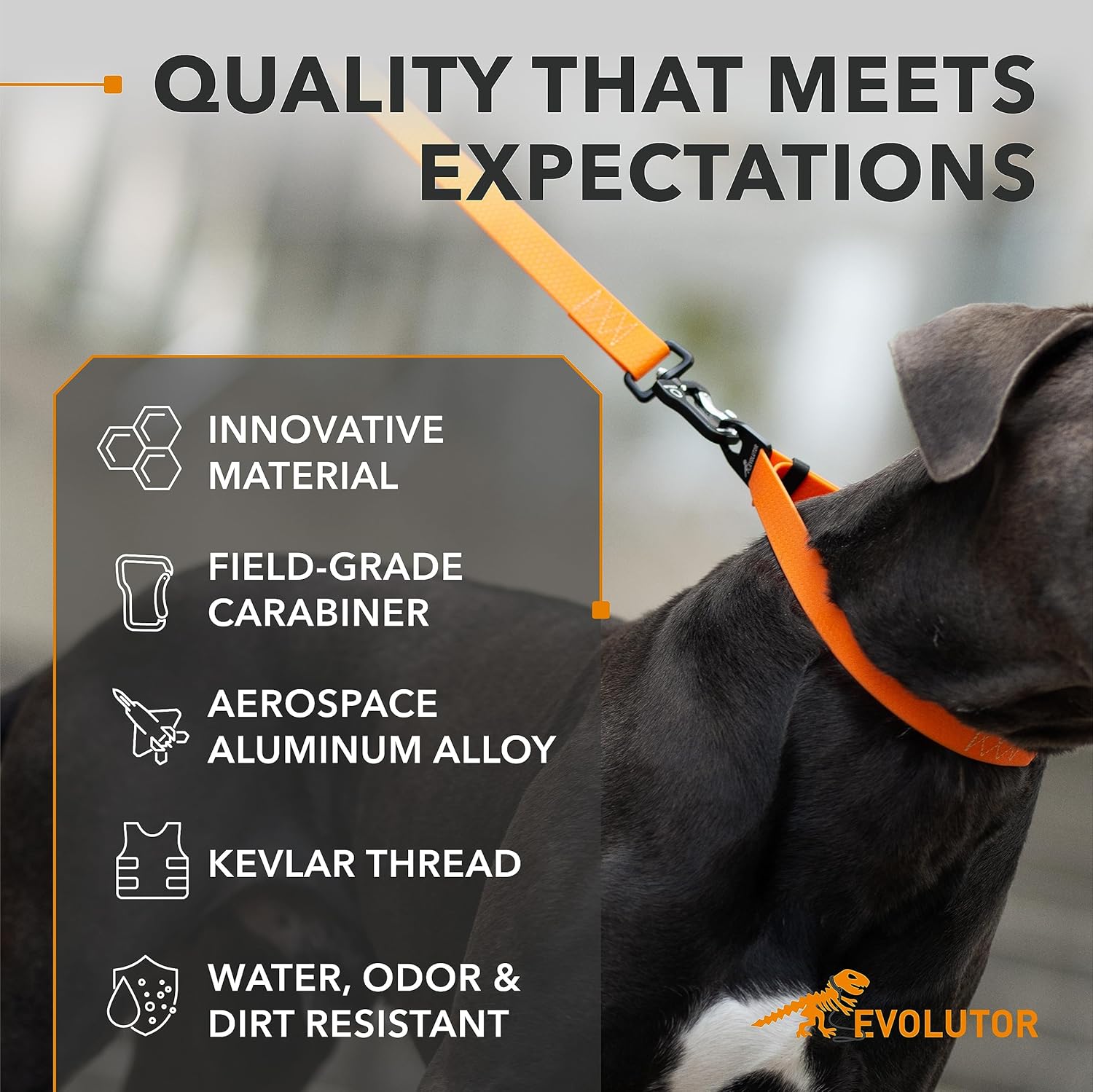 COLLAR Evolutor Extra Heavy Duty 10 Ft Leash - Durable for Large, Medium and Small Dogs - Strong for Large Breeds - Walking (Orange)