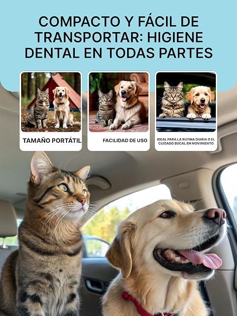 Foto 3 de 8 de asta de dientes natural para perros para la higiene bucal
