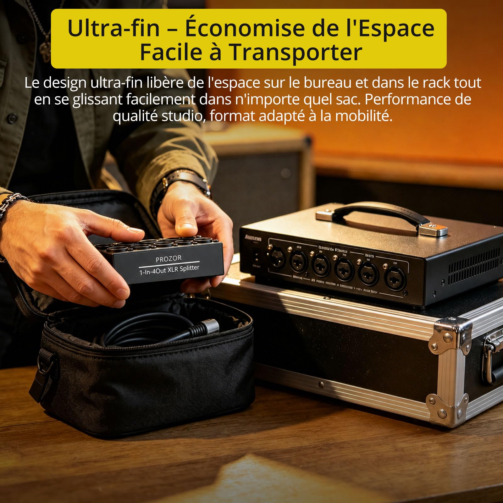 PROZOR Répartiteur XLR Stéréo 1 Entrée 4 Sorties - 2 Entrées 8 Sorties - Passif sans Alimentation - Design Ultra-Fin - Boîtier Métallique - pour Home Studio, Monitoring, Scène