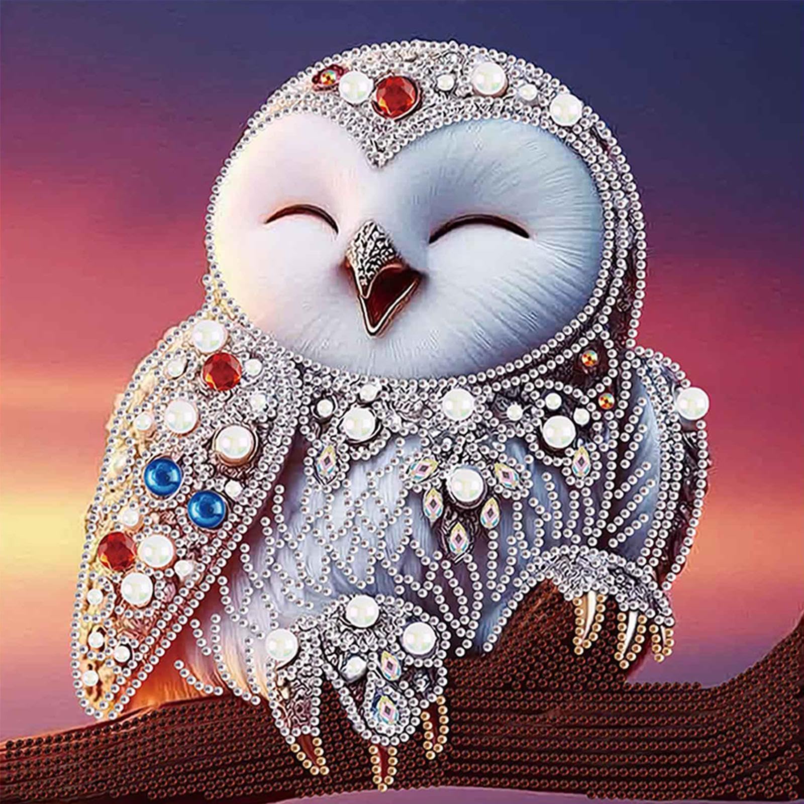 Ss018 Owl 5D Diy Special Shape Partial Drill Dimond Paintings Wall Decor 30X30cm (C)
