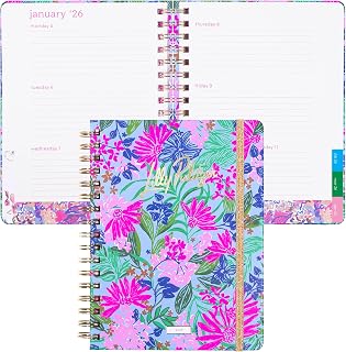Large Monthly Planner January 2026 - December 2026, Monthly Agenda & Calendar, Stickers, Pockets, & Spiral Binding (Endless Summer)