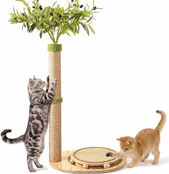 39" Tall Cat Scratching Post, Cute Olive Cat Scratcher, Interactive Cat Toys with Ball Track & Spring Ball, Sturdy Cat Scratch Post with Pad for Indoor Cats Adults and Kittens