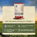 Dhatu Organics "Sprouted" Ragi Flour 500g (Pack of 3) | No Added Sugar - No Salt | Food for children and all ages | Madua/Nachni/Kelvaragu Atta gallery image