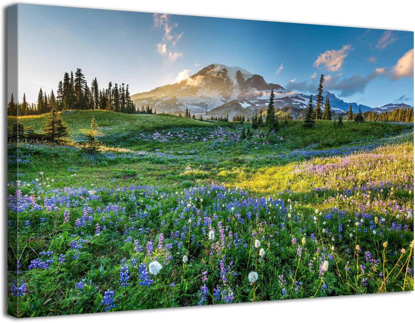 Mt Rainier Mountain Wall Art Rainier National Poster