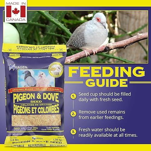 Vista 12 de Hagen Pigeon & Dove Seed, fórmula original para aves, bolsa de 6 libras, mezcla de semillas nutricionalmente completa con vitaminas y minerales