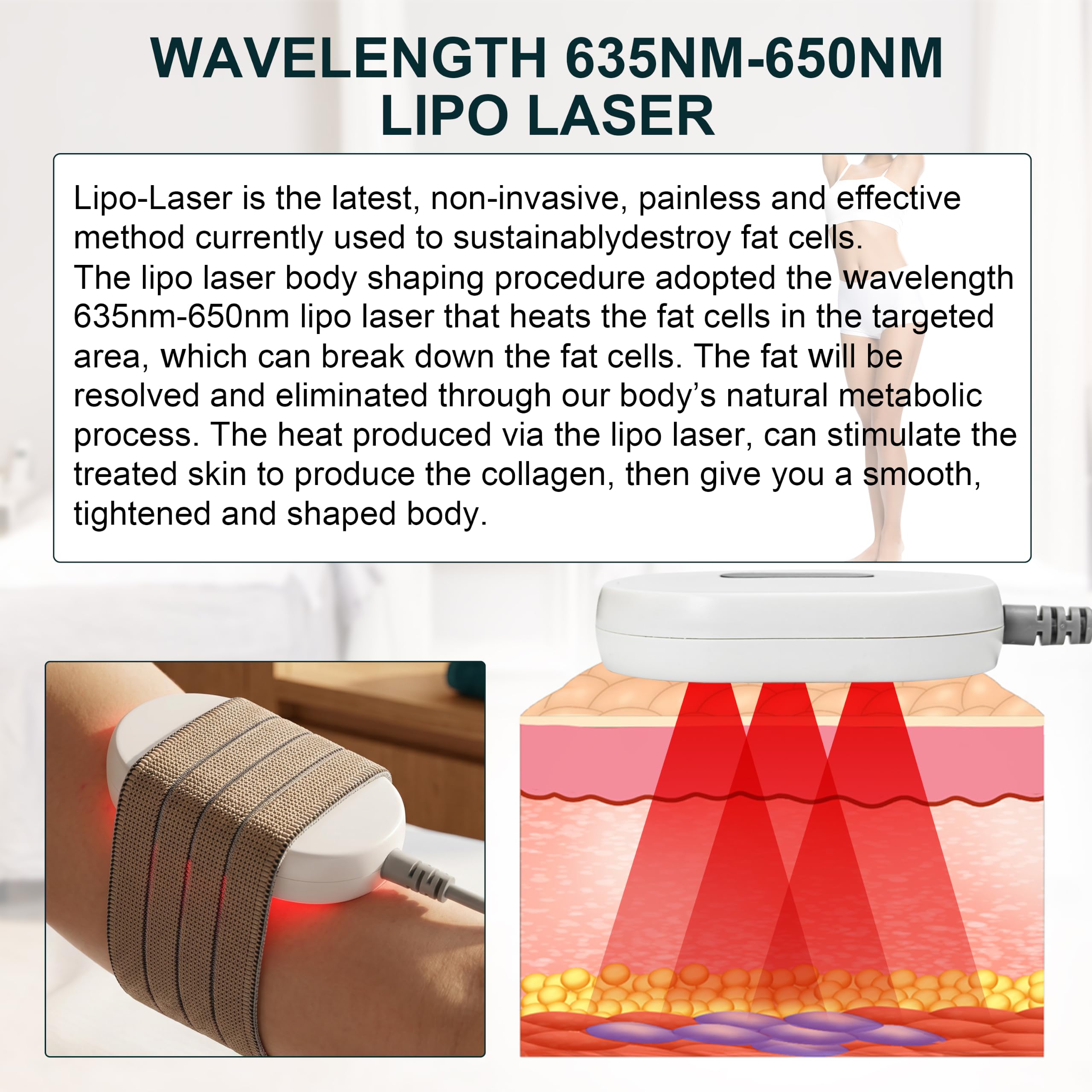 Elitzia 5MW Lipo Laser Brucia Grasso 10 Pannelli Macchina per il Contorno del Corpo Laser Lipo Dimagrante Non Invasiva Dispositivo LipoLaser per Riduzione del Grasso per Addome e Gambe Professionale