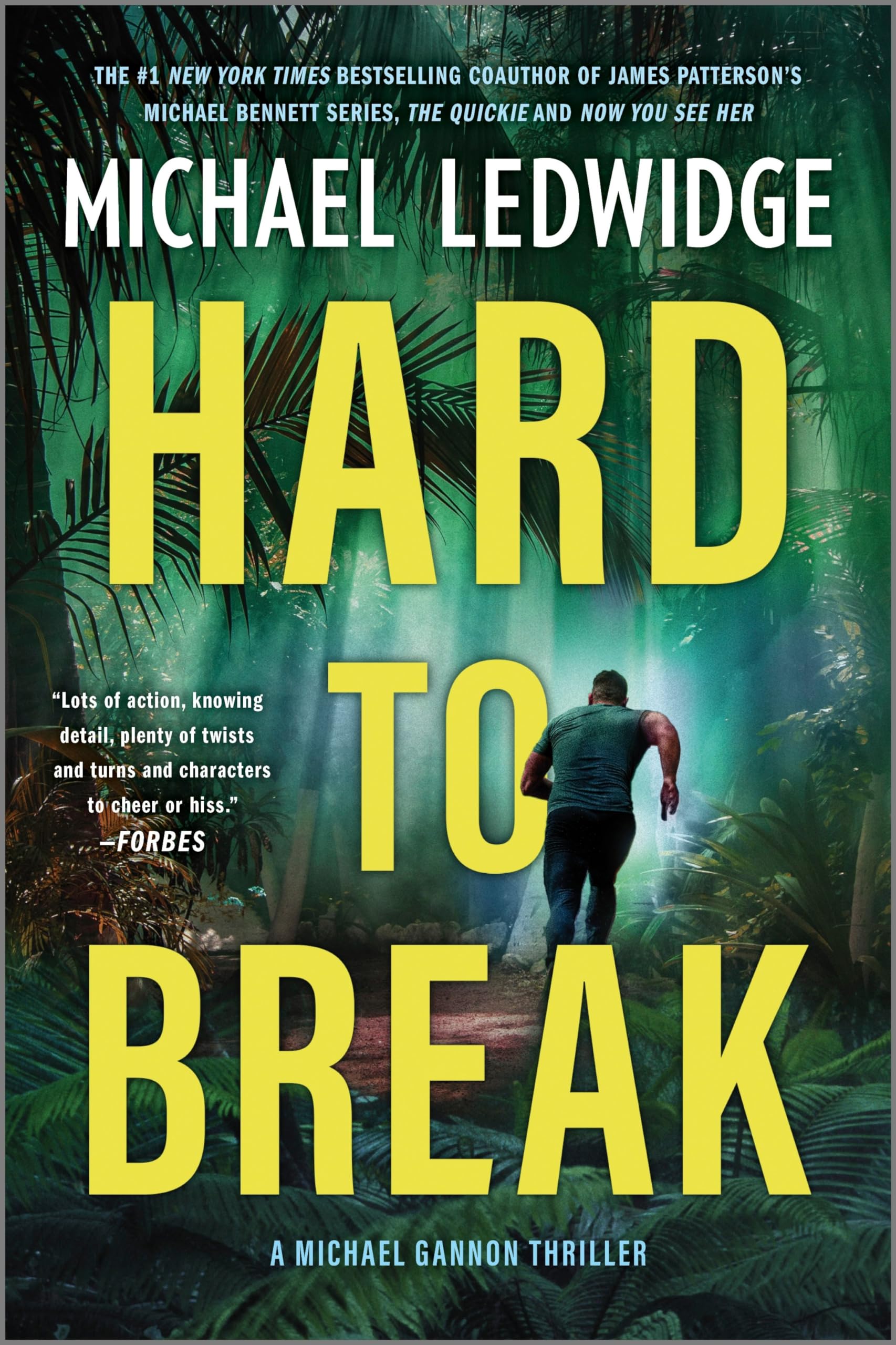 Hard to Break: A Michael Gannon Thriller (Michael Gannon Series, 3)