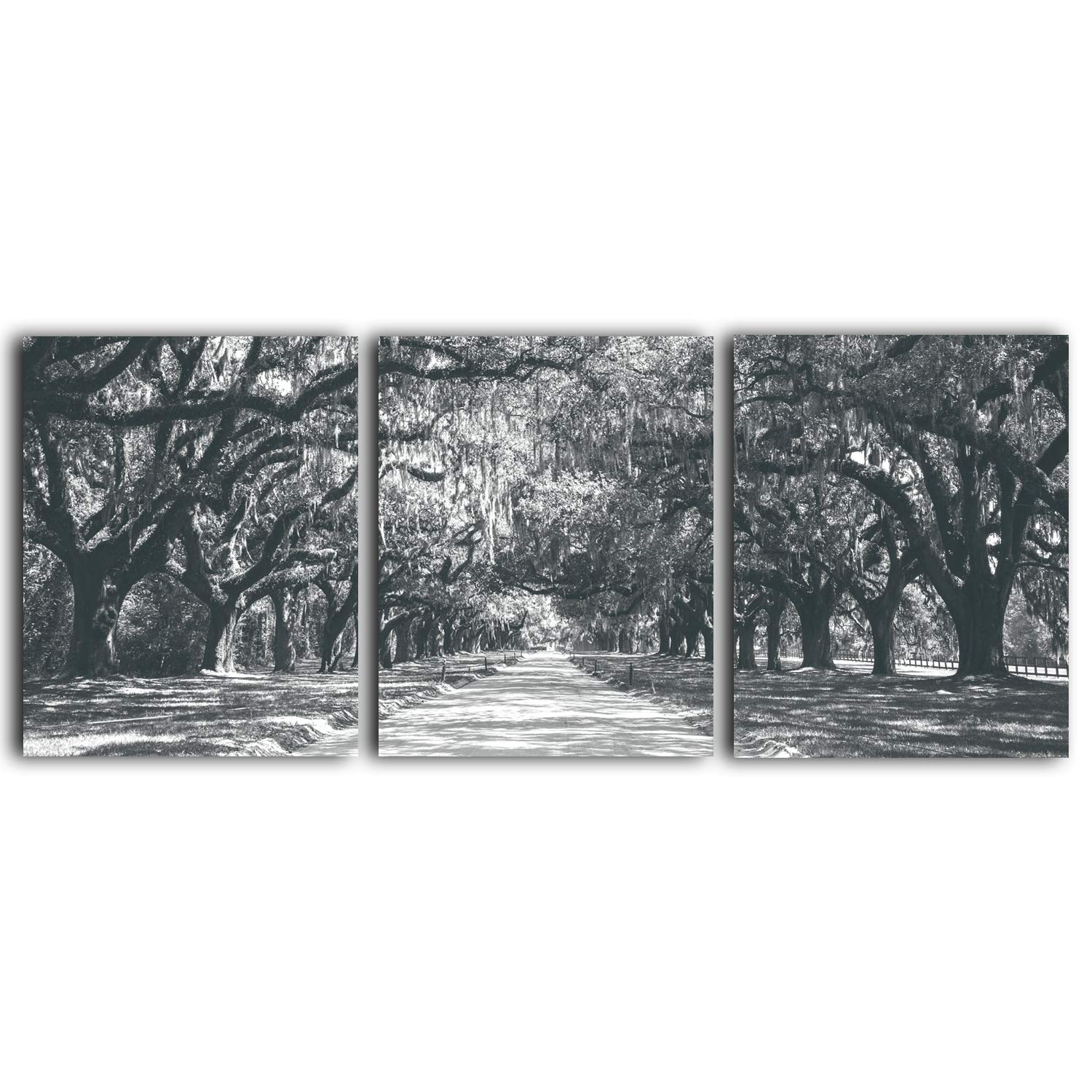 Tree Wall Art - 3-Piece Unframed Black & White Prints, Original Photography Work - Contemporary Artwork - Relaxing Living Room, Office, Bedroom, Bathroom Decorations - Set of 3 8x10