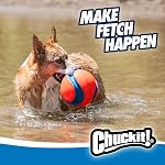 Chuckit! Large Kick Fetch Ball