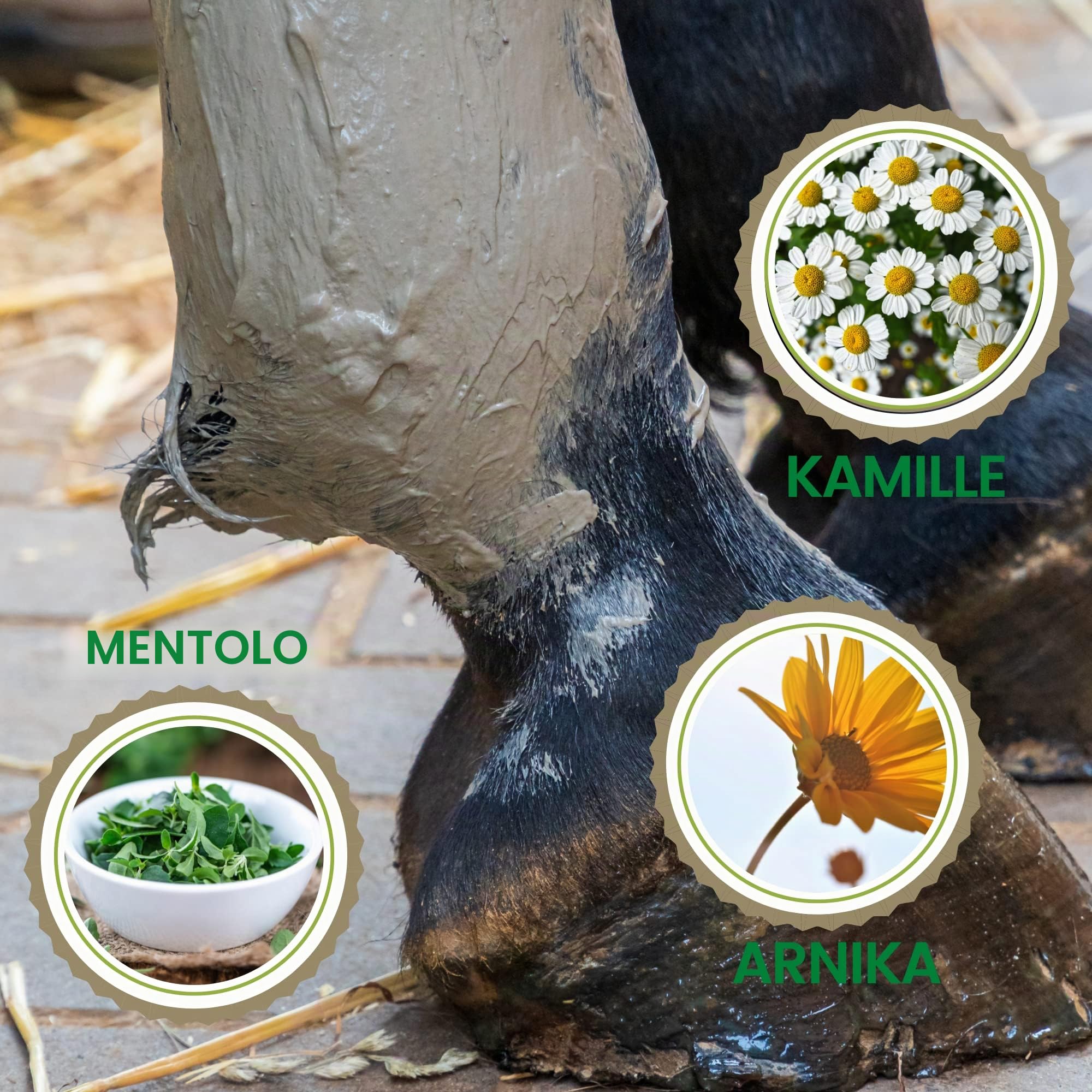 argilla acetica ⇒ argilla cavallo I balsamo per cavalli I pasta con pomata all'arnica argilla minerale I pasta di argilla curativa rinfrescante I gel I gel all'arnica muscoli tendini legamenti 1,5Kg