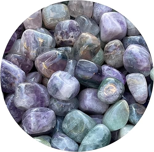 Miniatura 421 de GAF TREASURES Piedras pulidas de ojo de tigre de 1/2 libra, piedra preciosa natural pulida, cristales curativos de ojo de tigre (ojo de tigre)