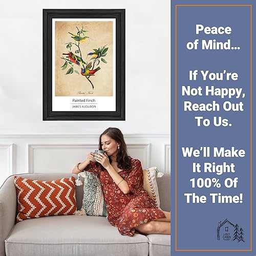 Vista 249 de Towee Bunting by James Audubon - Marco biselado negro de 12 x 16 pulgadas, decoración artística enmarcada para pared, reproducción de pinturas