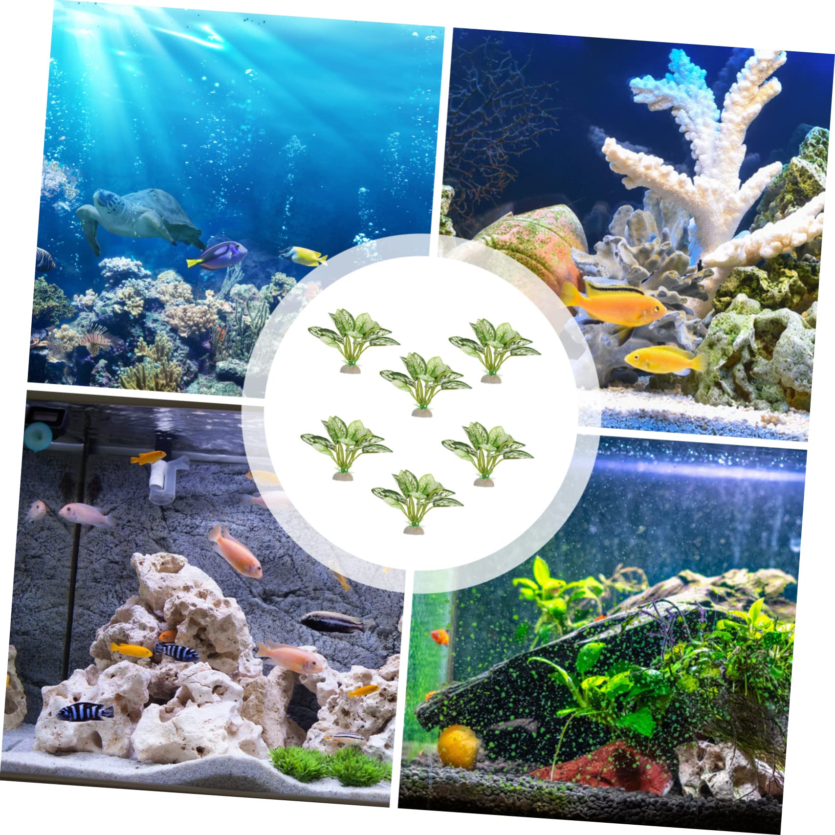 Mipcase 5 Ensembles Aquarium Aménagement Paysager Plantes Aquatiques Arbre De Réservoir De Poissons Eau Pot Decor Aquarium Décor D'aquarium Usine De Plastique Sous-marine 6 Pièces * 5