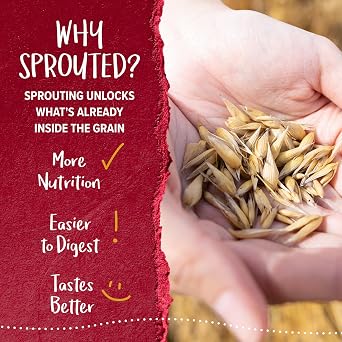 One Degree Organics Sprouted Steel Cut Oats, Glyphosate-Free, USDA Organic, Non-GMO, Certified Gluten-Free, Vegan, Kosher, Oatmeal, Overnight Oats, 24 ounce (Pack of 4)