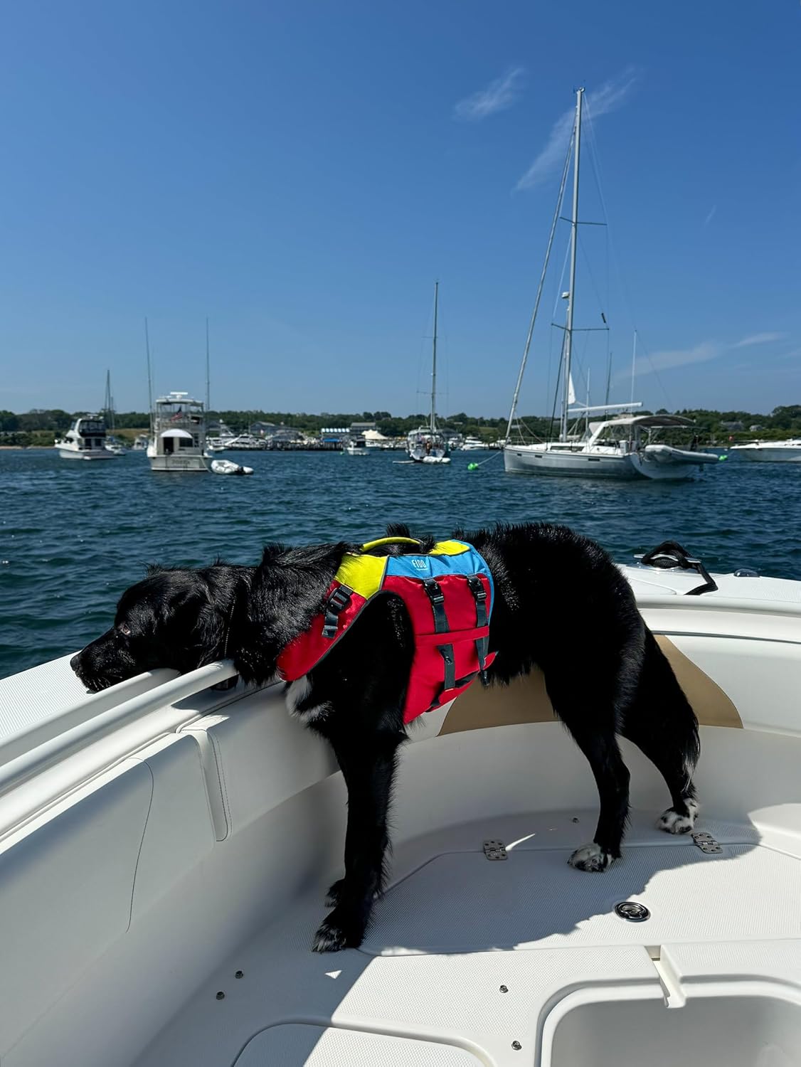 Spinlock FIDO Dog Flotation Aid (X-Small)