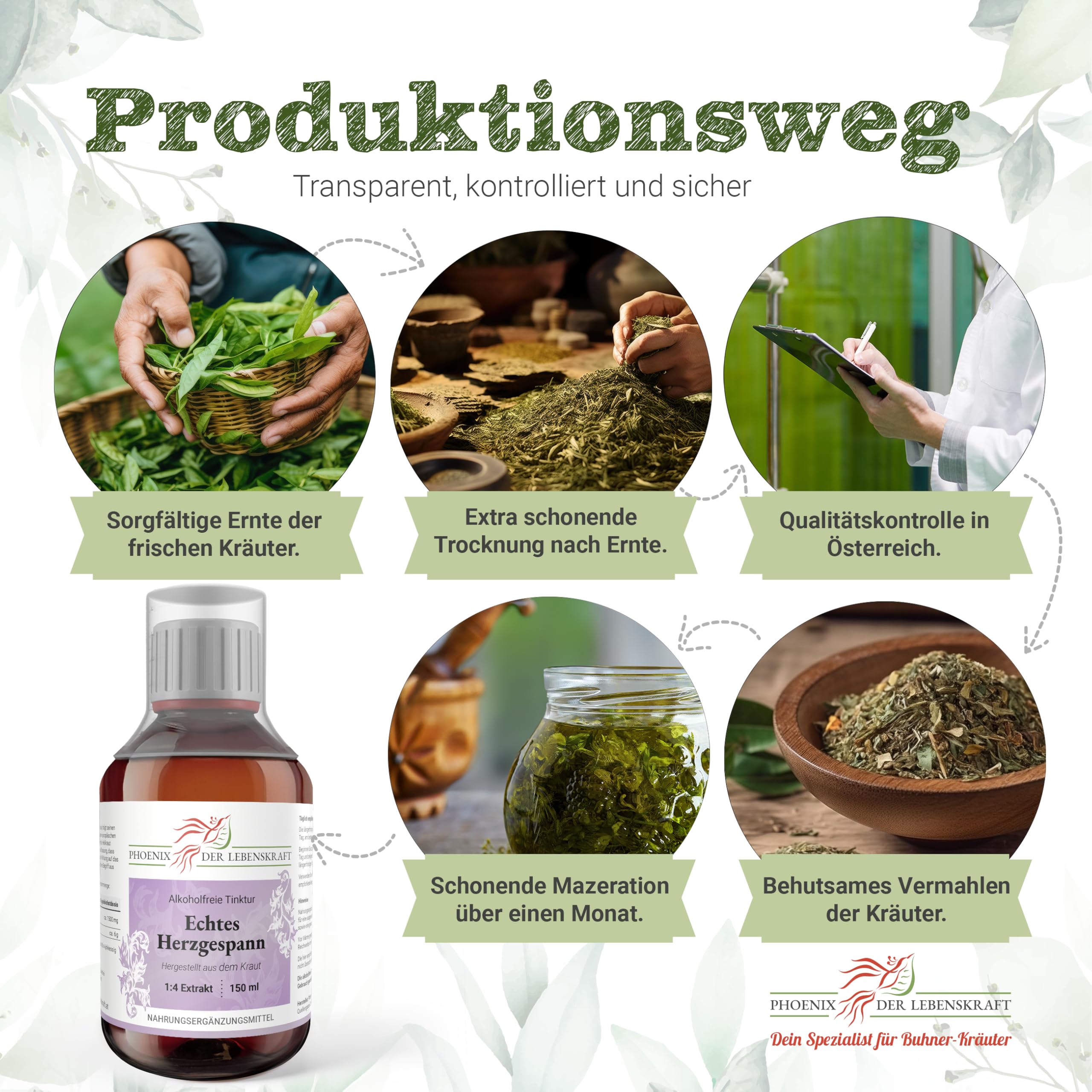 Echtes-Herzgespann Tinktur (alkoholfrei) 150 ml | Leonurus cardiaca Tropfen (1:4 Auszug) | Hergestellt in Österreich | Nahrungsergänzungsmittel mit Herzgespannkraut in pflanzlichem Glycerin