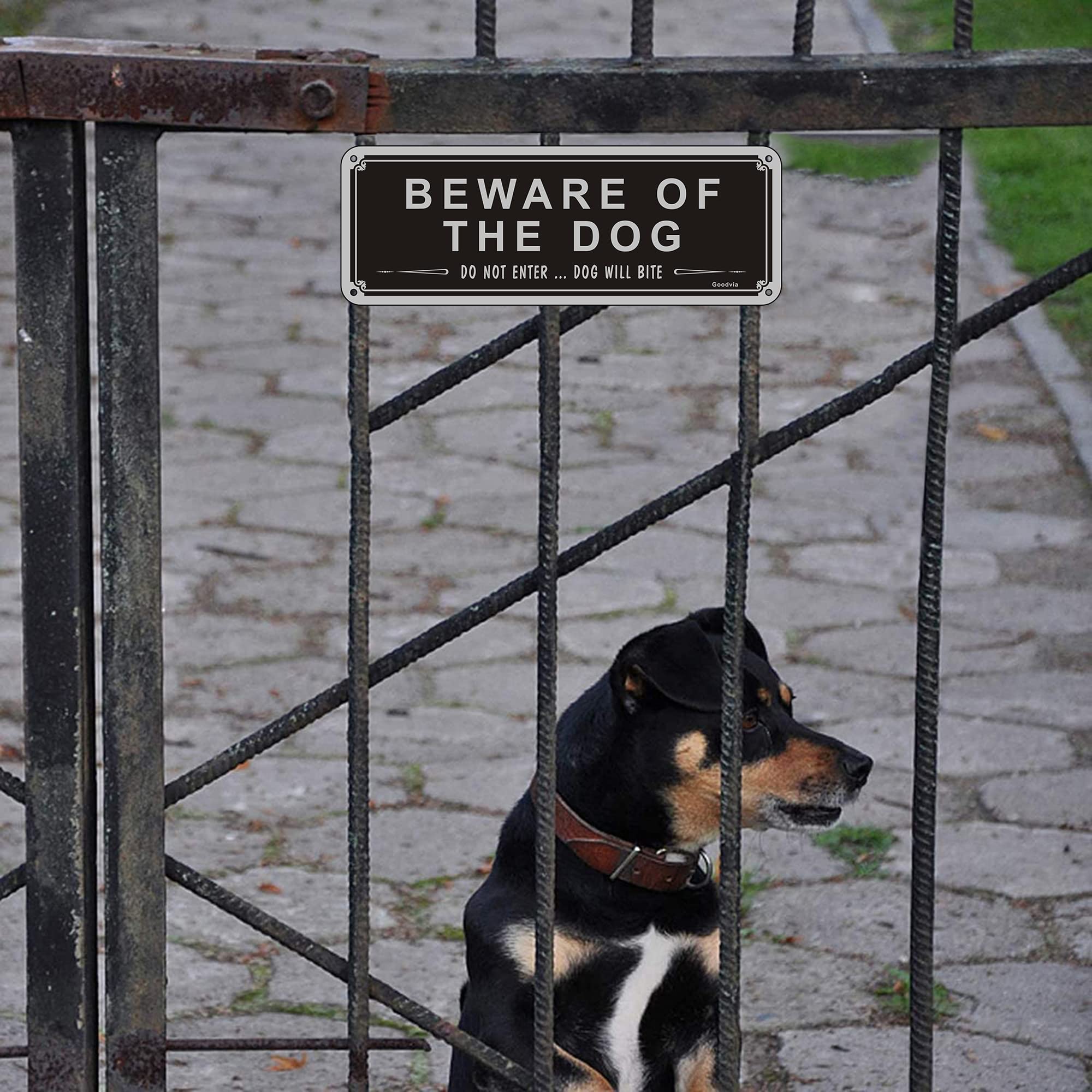 Cartello In Latta Attenti Al Cane - 20x30 Cm, Resistente Alle Intemperie, Scritte In Inglese - 4