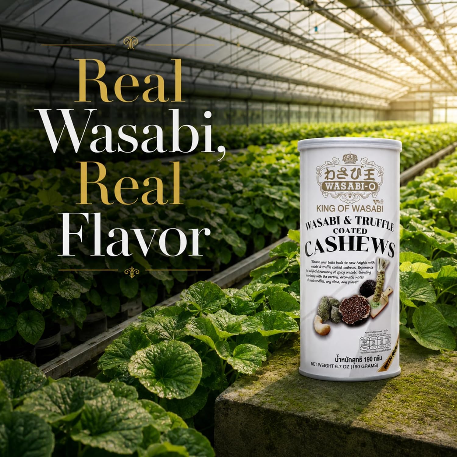 WASABI-O Real Wasabi and Truffle Coated Cashews - Gourmet Snack 6.7oz thumbnail