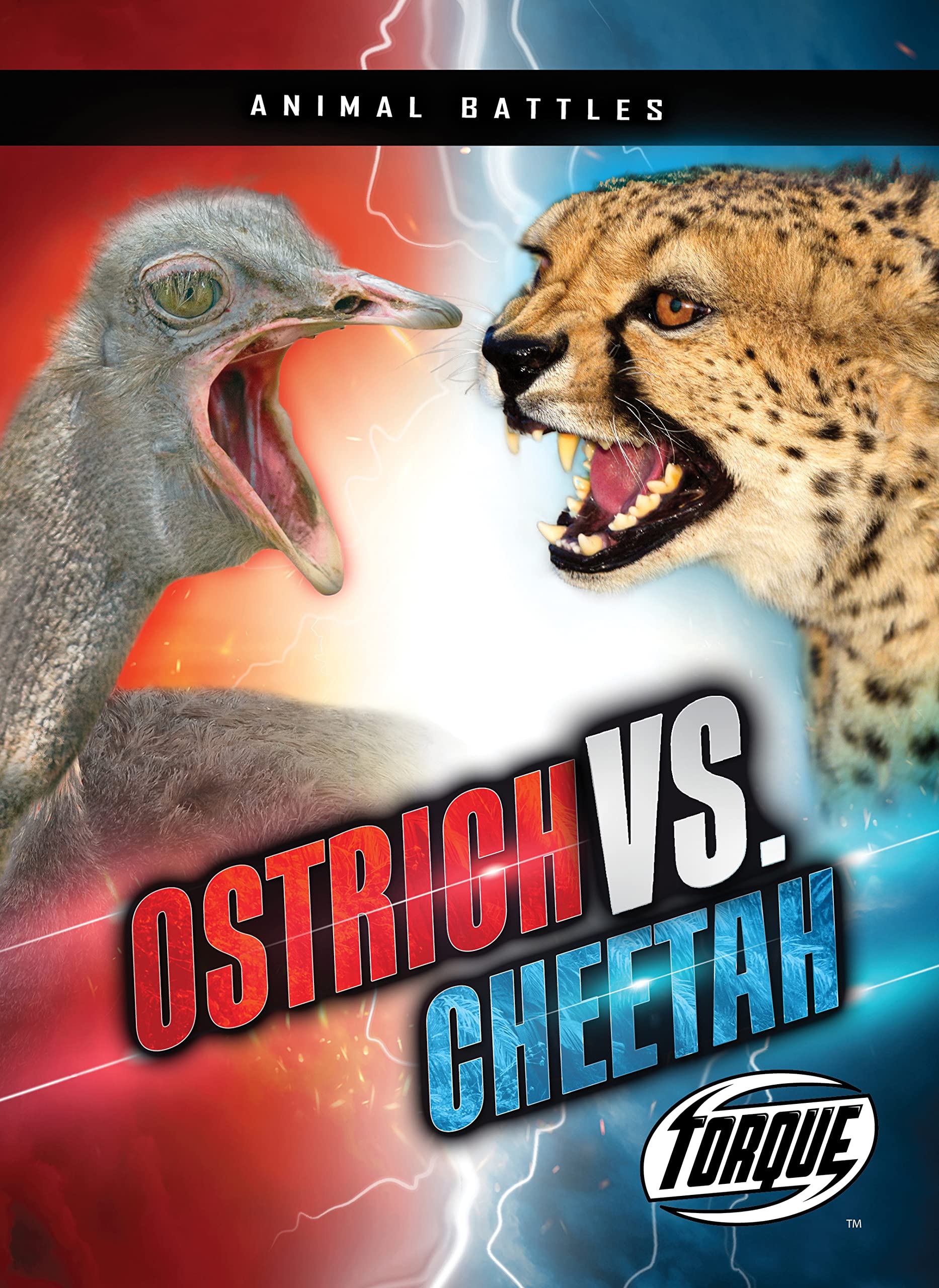 Ostrich Vs. Cheetah