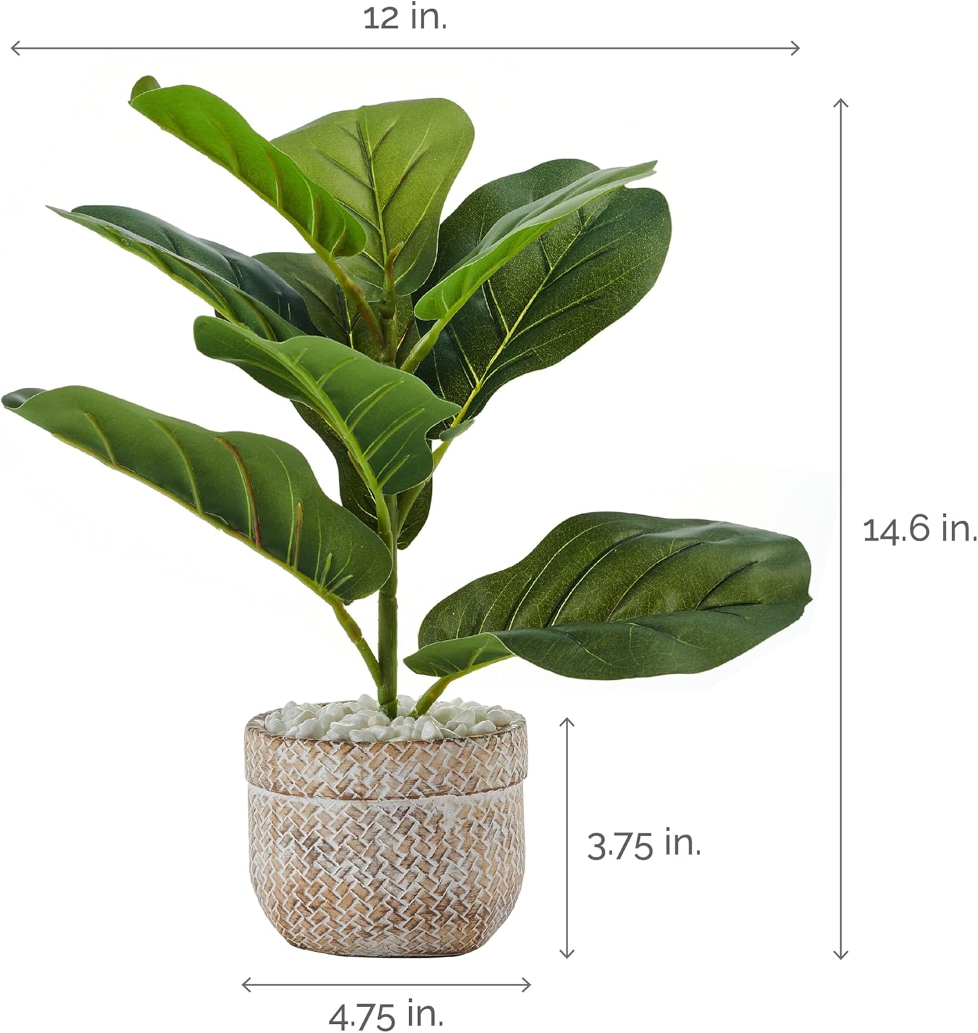 Elements Artificial Fiddlehead Plant 15 Inch Faux Greenery in Modern Pot with White Rocks - Realistic Soft-Touch Plastic Indoor Fake Plant for Home Office Decor