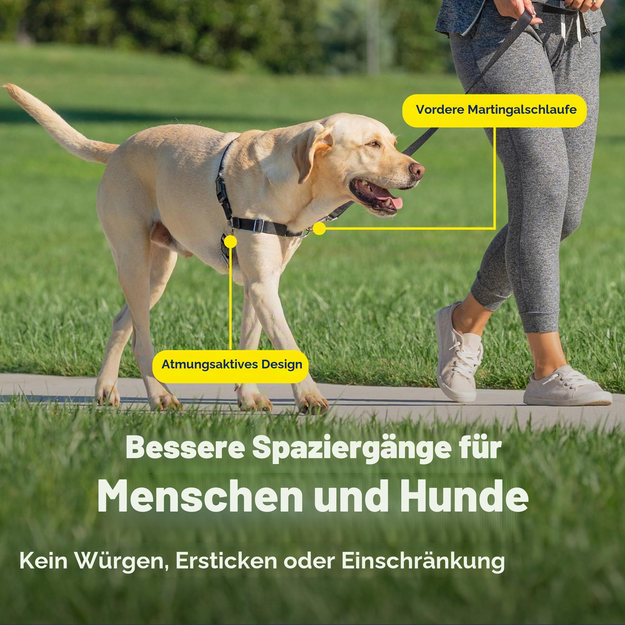 PetSafe, Easy Walk Hundegeschirr, das ultimative Geschirr gegen Ziehen bei Spaziergängen, übernimm die Kontrolle und lehre EIN besseres Leinenverhalten, Large, Dunkelgrau/Schwarz