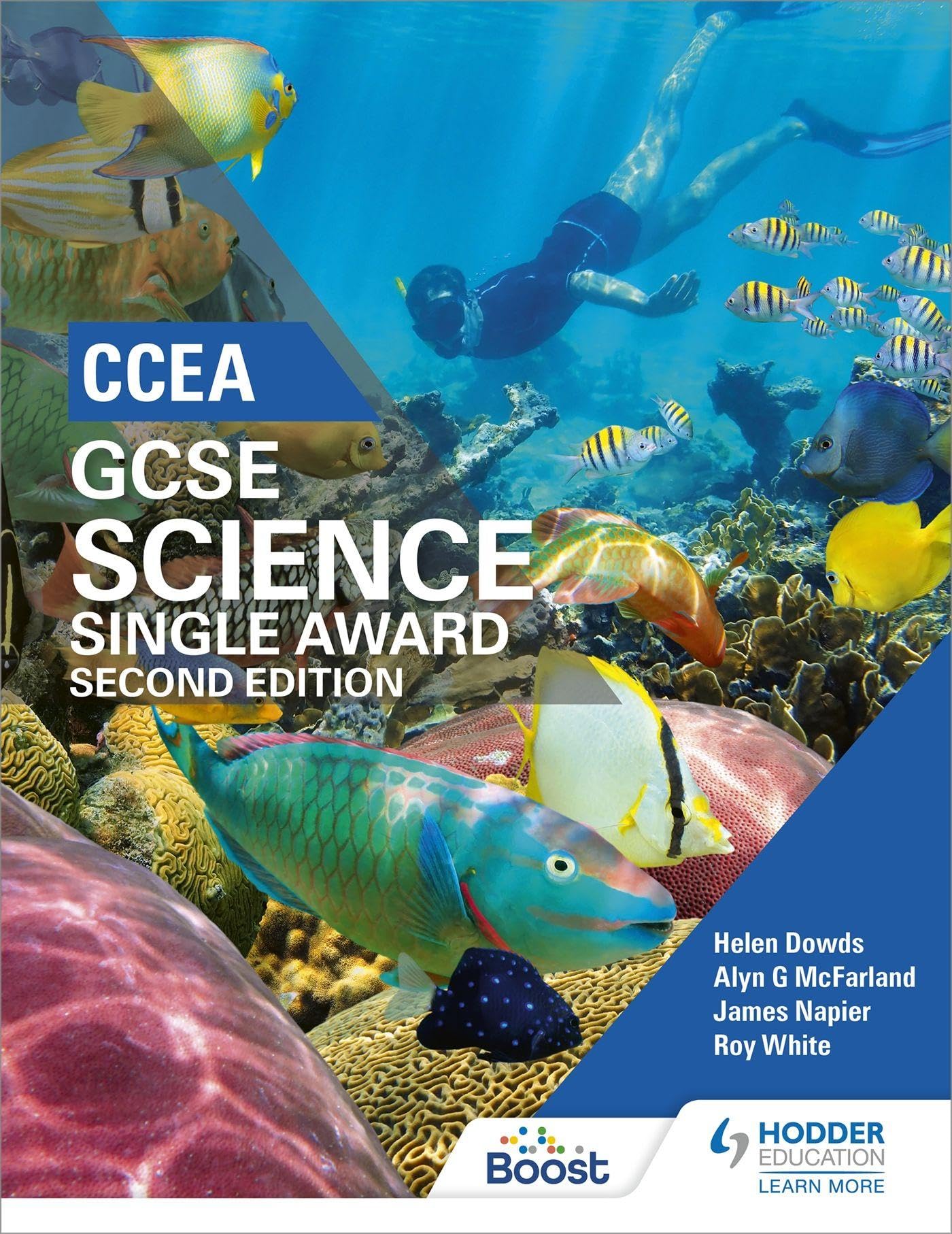 CCEA GCSE Single Award Science 2nd Edition by Alyn G. McFarland (Paperback Book)
