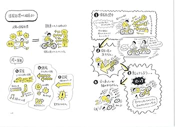 81FF4bAkAVL._AC_UF350,