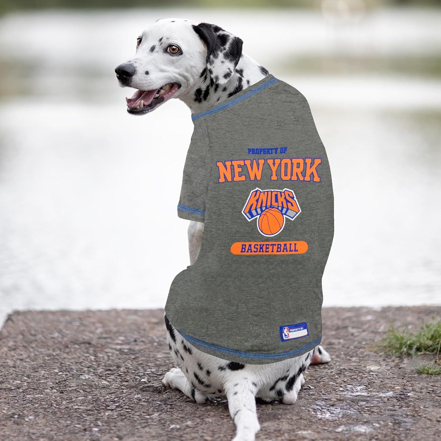 Pets First NBA Licensed Hoodies & T-shirt for Dogs & Cats, Golden State Warriors, Medium - imagen 5