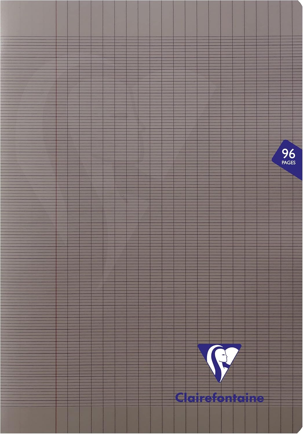 Clairefontaine 303102C Lot de 10 Cahiers Agrafés Mimesys A4 Petits Carreaux - Vue d'ensemble des cahiers avec couvertures transparentes et colorées aléatoires — vue 7