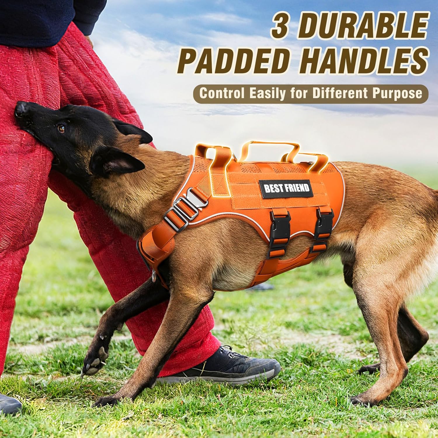 No Pull Tactical Dog Harness for Large Dogs with Metal Buckles,Breathable Air Mesh Service Dog Vest,Military Molle Harness with 3 Durable Handles for Training Hiking Hunting Working Orange L