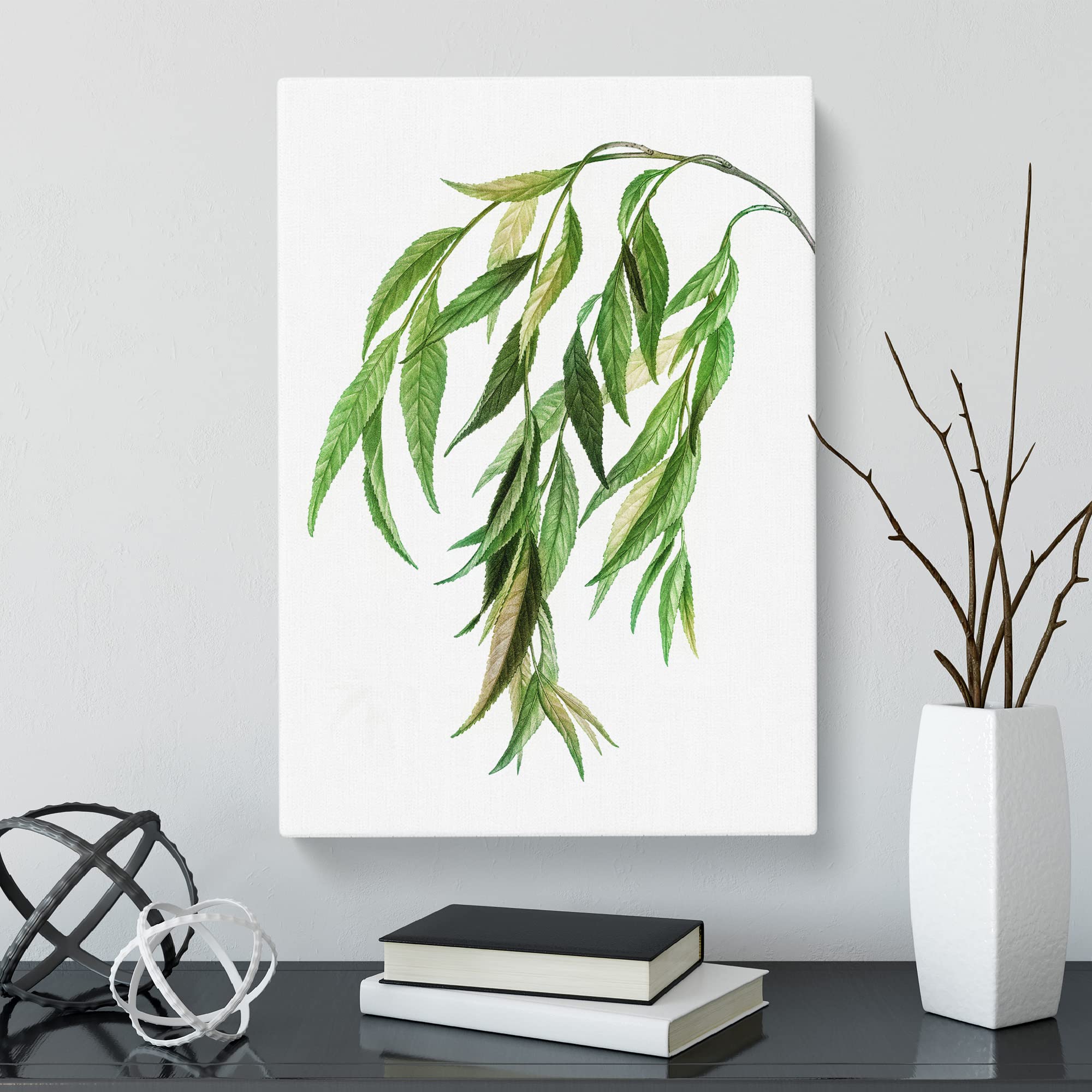Weeping Willow Tree Branch By Pierre Joseph Redoute Canvas Print, Mixed, 25L x 50W cm - Image 3