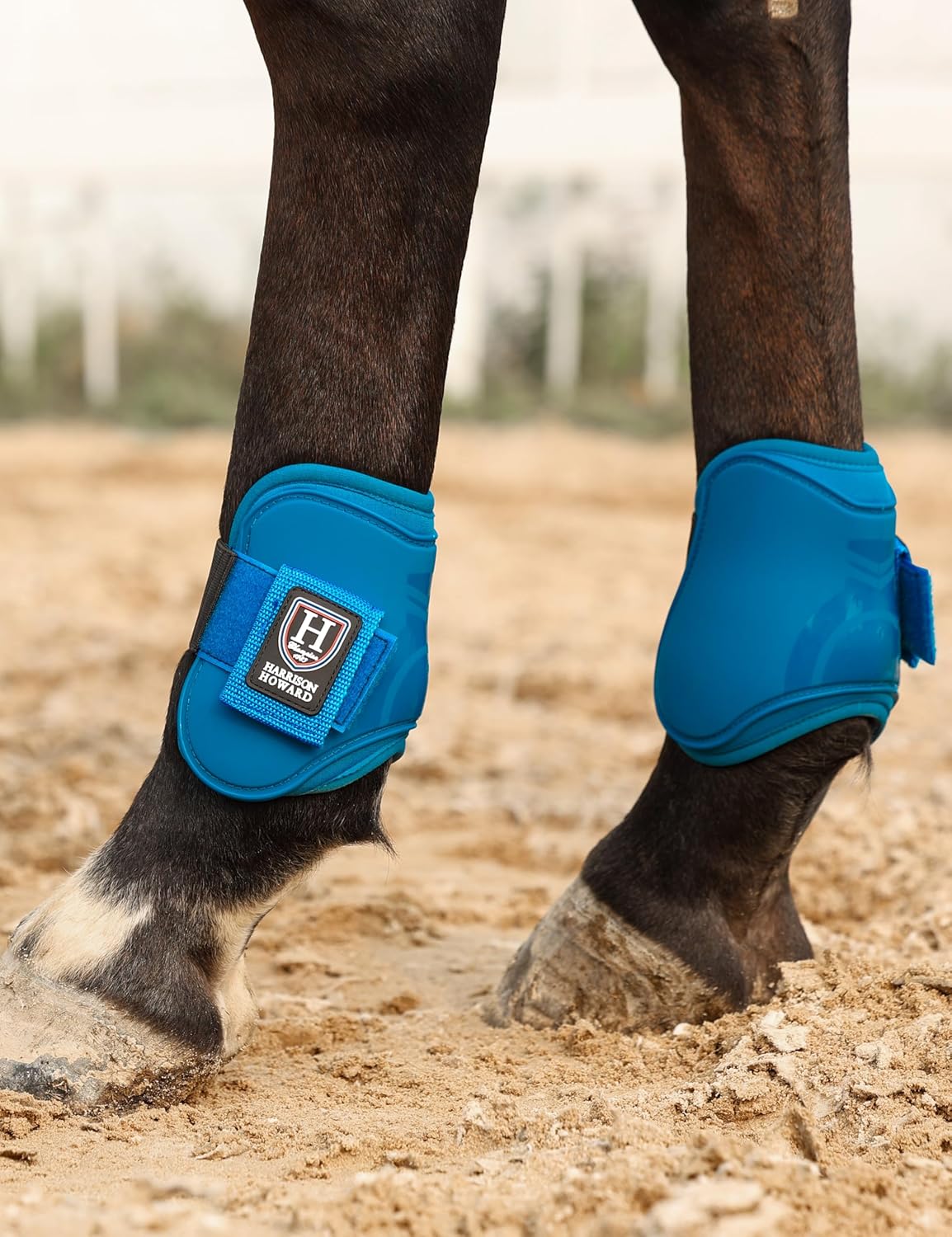Harrison Howard Horse Tendon Boots Open Front/Fetlock Boot for Horse Protective Boots for Jumping, Trail Riding Set of 4