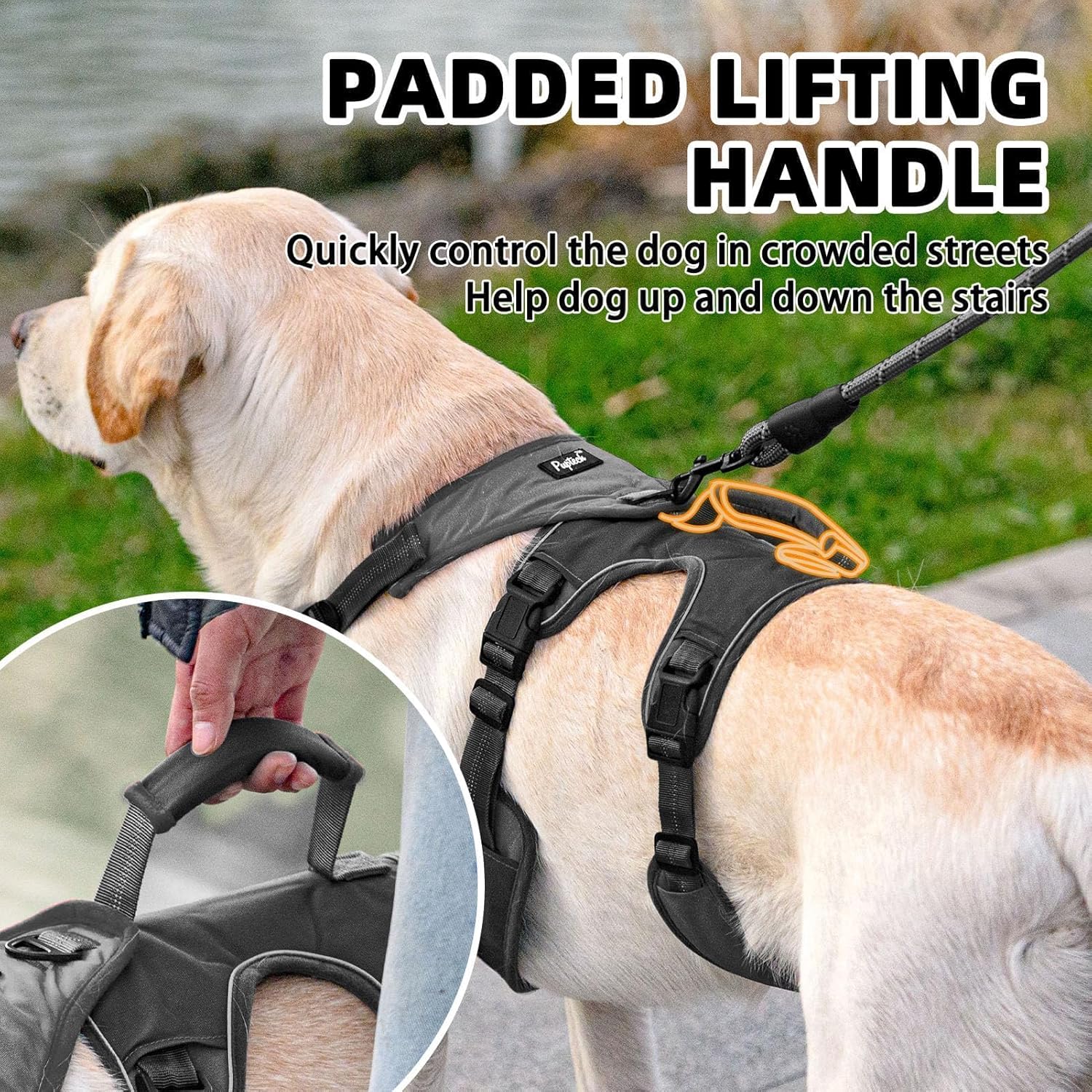 PUPTECK Escape Proof Dog Harness and Leash Set Upgraded No Pull Reflective Dog Vest with Lift Handle, Easy Control Pet Harness for Medium Large Dogs Training Walking Running