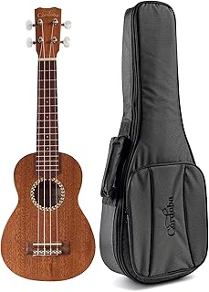 cordoba ukulele case