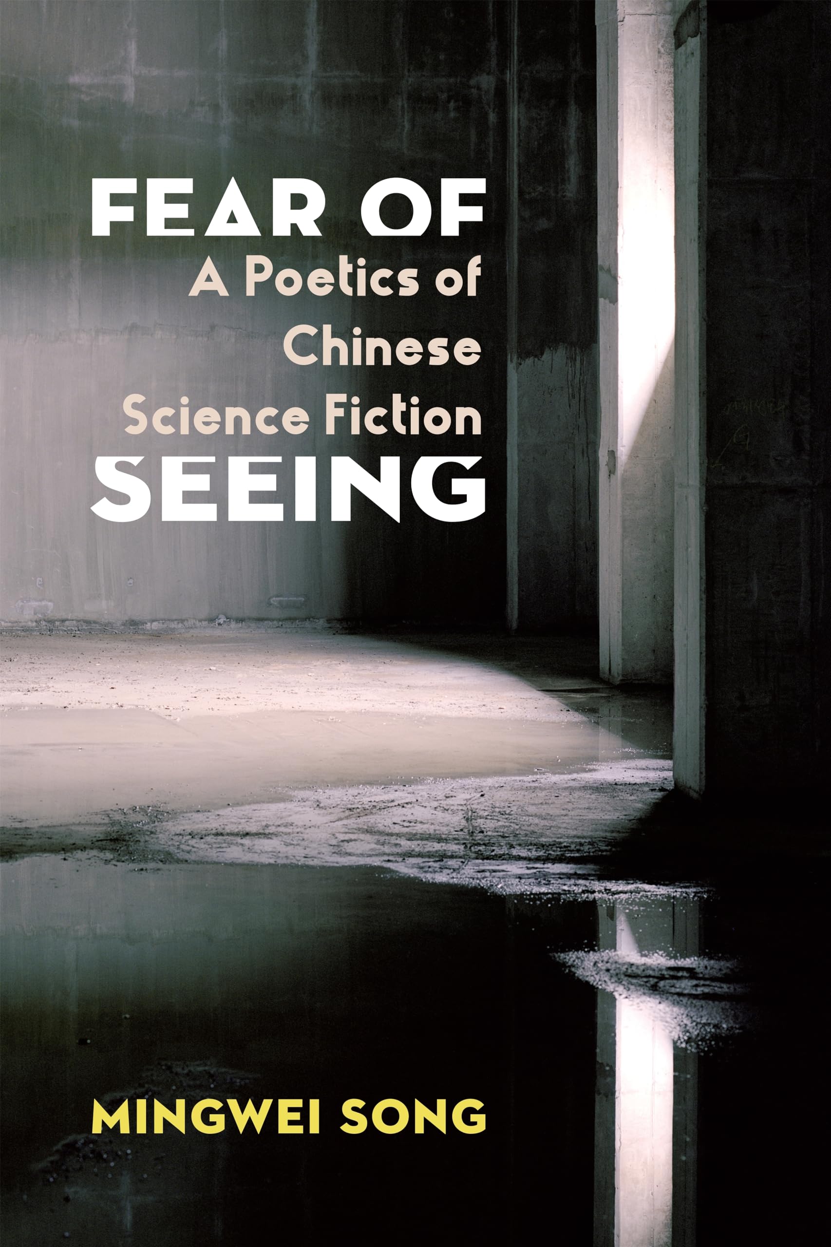 Fear of Seeing: A Poetics of Chinese Science Fiction