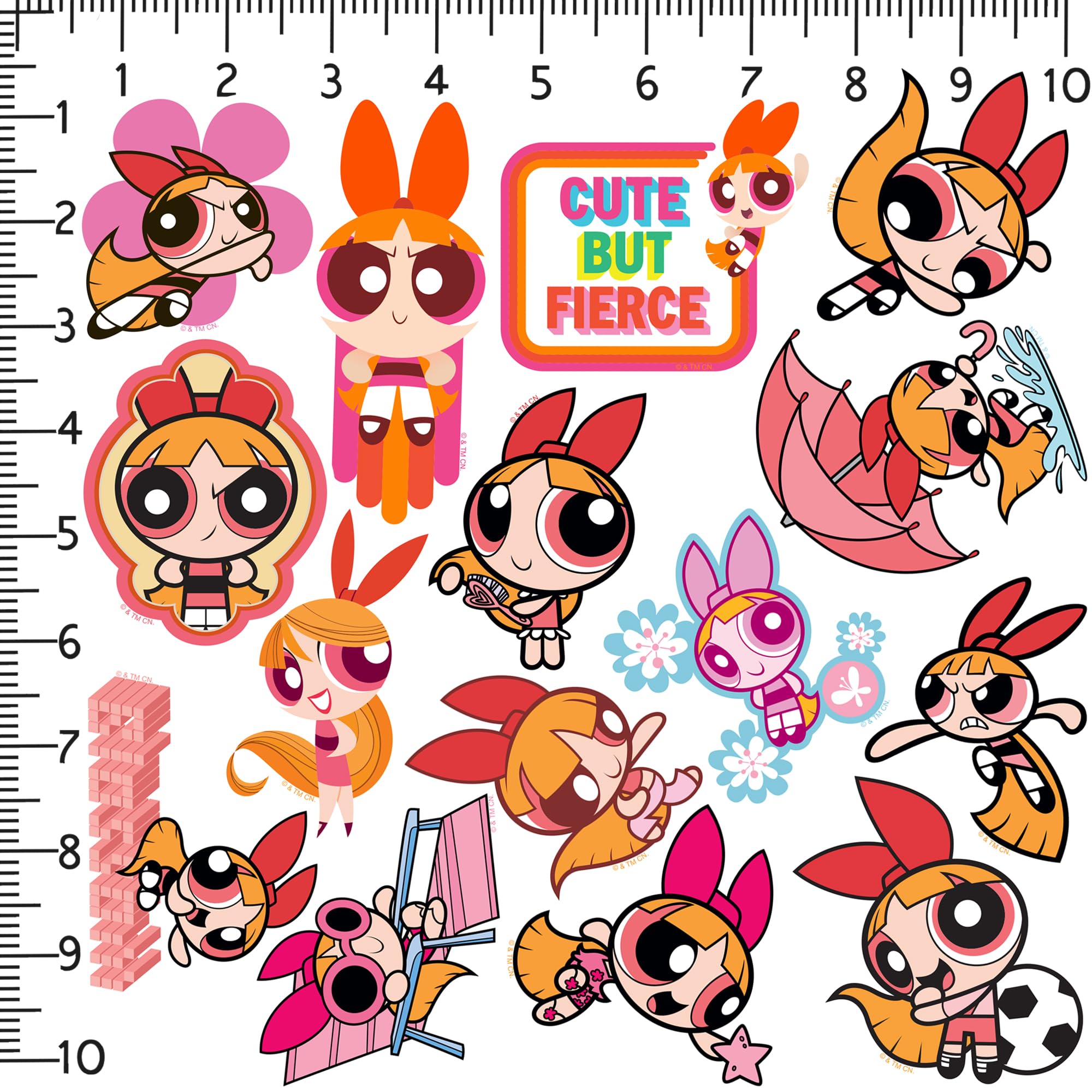 Amazon.com: Powerpuff Girls Blossom 50ct Vinyl Large Deluxe